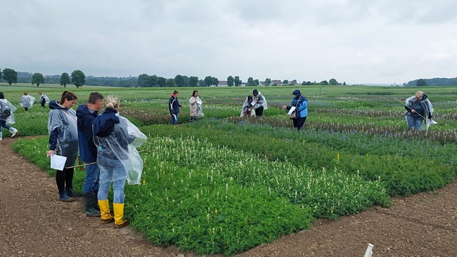 Uczestnicy spotkania podczas egzaminu praktycznego na poletkach doświadczalnych