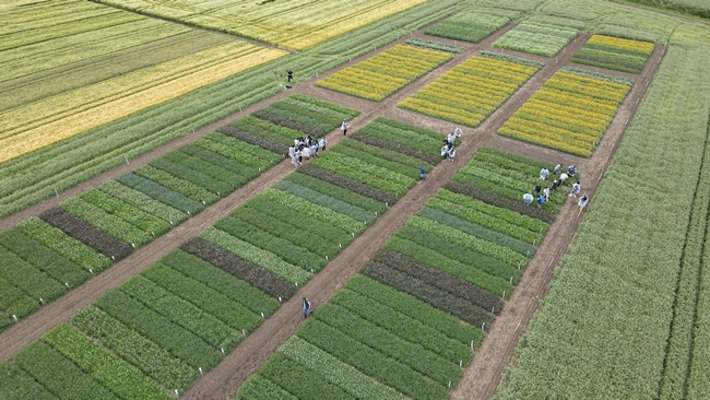 Uczestnicy spotkania podczas egzaminu praktycznego na poletkach doświadczalnych