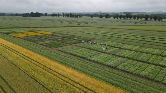 Uczestnicy spotkania podczas egzaminu praktycznego na poletkach doświadczalnych