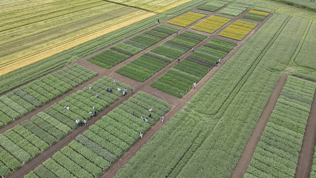 Uczestnicy spotkania podczas egzaminu praktycznego na poletkach doświadczalnych