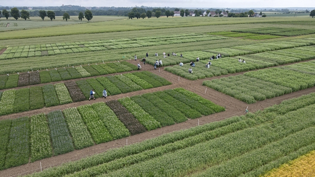 Uczestnicy spotkania podczas egzaminu praktycznego na poletkach doświadczalnych