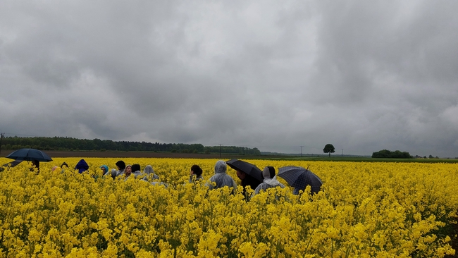 Uczestnicy spotkania podczas egzaminu praktycznego na poletkach doświadczalnych