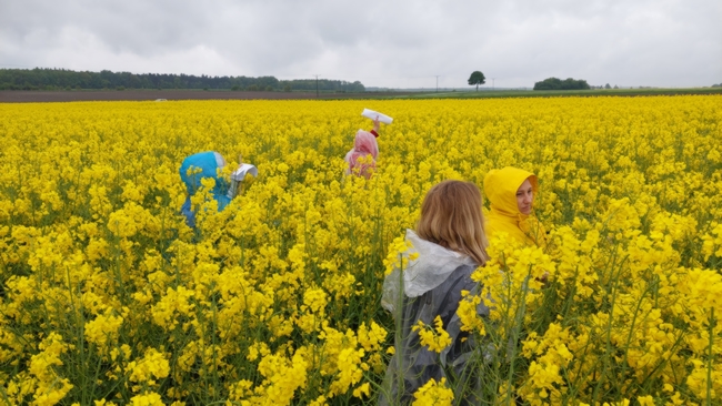 Uczestnicy spotkania podczas egzaminu praktycznego na poletkach doświadczalnych 