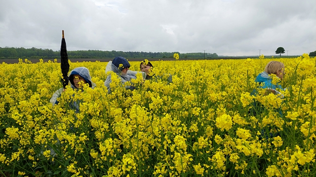 Uczestnicy spotkania podczas egzaminu praktycznego na poletkach doświadczalnych