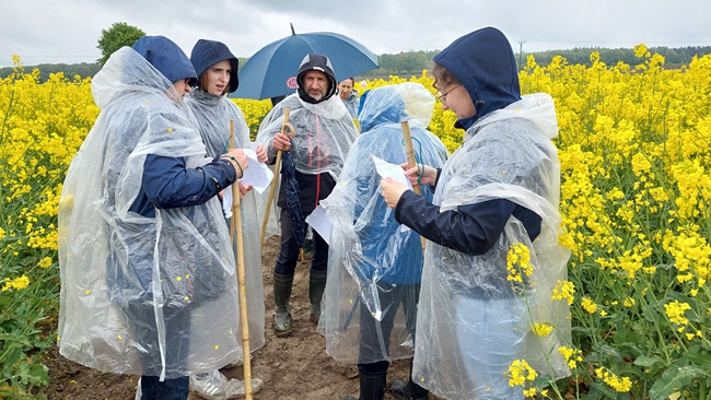 Uczestnicy spotkania podczas egzaminu praktycznego na poletkach doświadczalnych