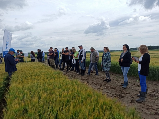 Uczestnicy spotkania na poletkach doświadczalnych z jęczmieniem jarym