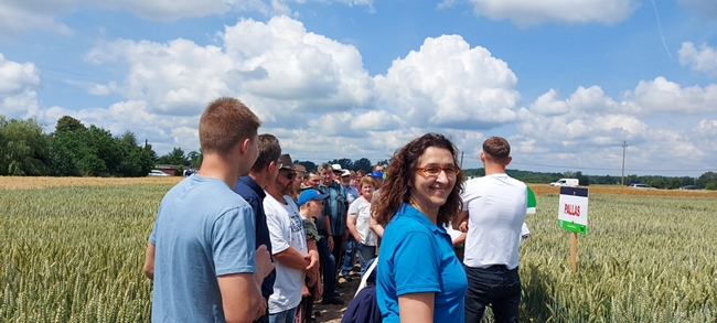 Uczestnicy Dnia Pola na poletkach doświadczalnych, na pierwszym planie Joanna Kudła Syngenta.  