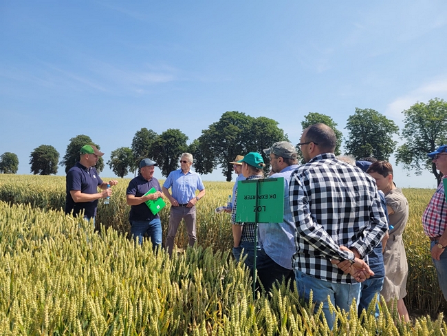 Uczestnicy narady podczas lustracji polowej 
