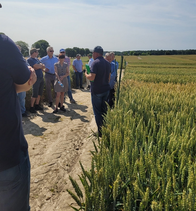 Uczestnicy narady podczas lustracji polowej