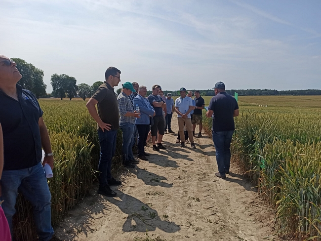 Uczestnicy narady podczas lustracji polowej