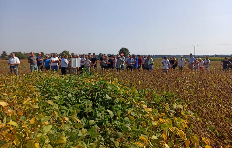 Uczestnicy w polu soi. 