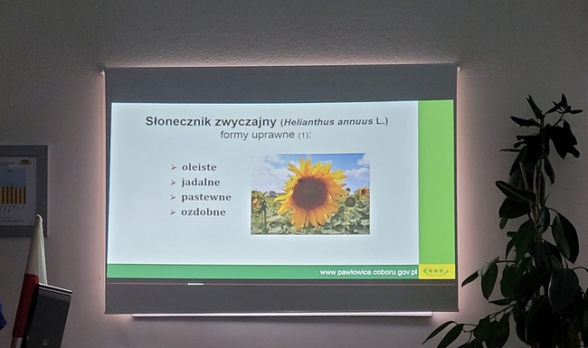 Prezentacja Dyrektora SDOO Pawłowice