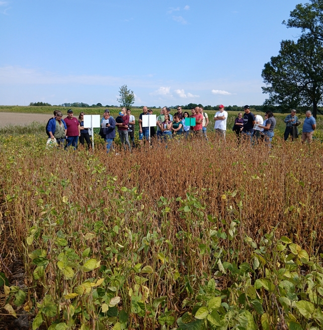 Uczestnicy spotkania w polu soi